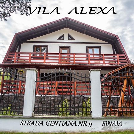 シナヤ Casa Alexaヴィラ エクステリア 写真